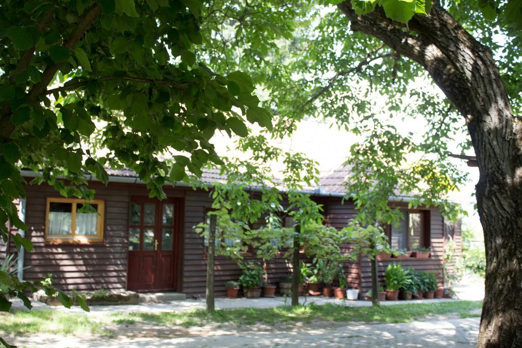 Holiday Home Melinda Cegledpuszta Экстерьер фото